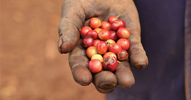 Tekuté zlato jménem mikrolot. Co to je? Garantuje vůbec kvalitu?