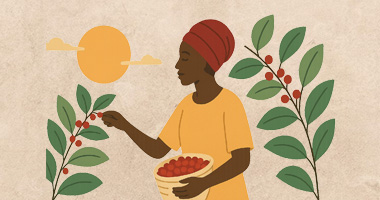 Nigérie: skrytý kávový klenot, který může změnit pravidla hry