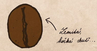 Budoucnost kávy: Robusta na vzestupu?