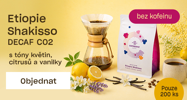 Hlavní pravý - Vánoce