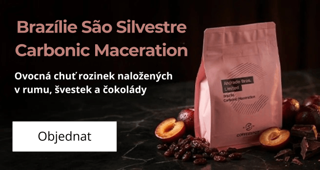 Hlavní pravý - Vánoce