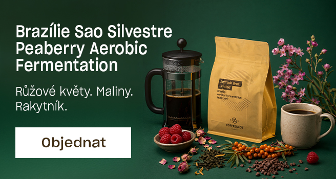 Hlavní pravý - Peaberry