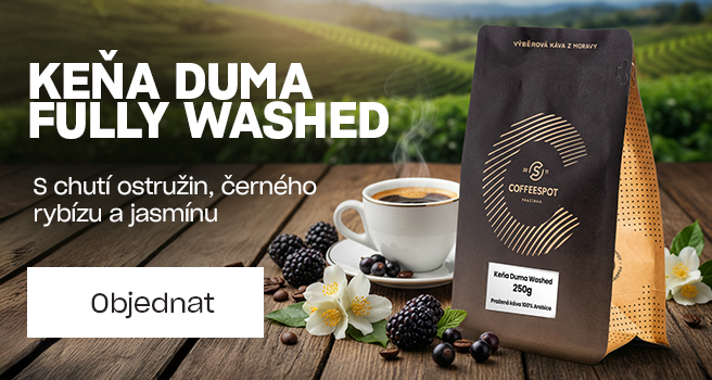 Hlavní pravý Keňa