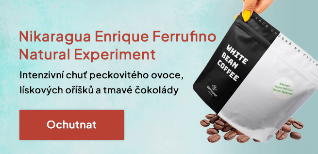 Vedlejší 1 - Nikaragua Erique Ferrufino