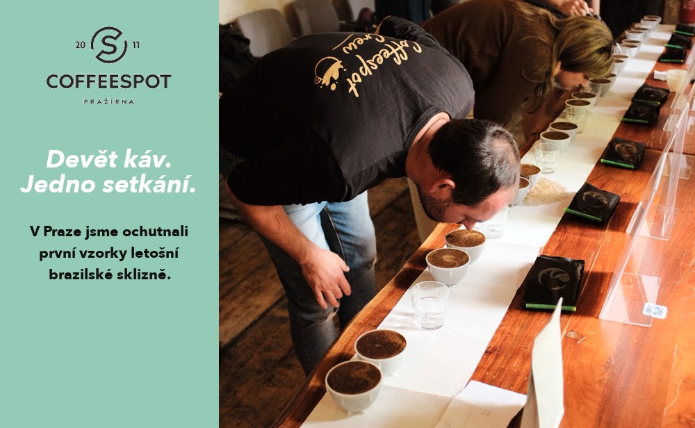 cupping-romulo-praha-sklizen-2026-01