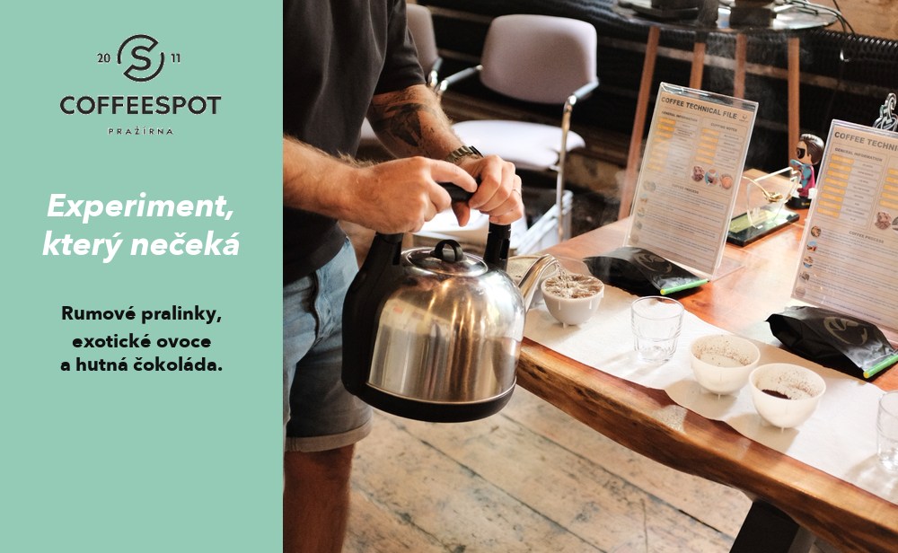 cupping-romulo-praha-sklizen-2026-02