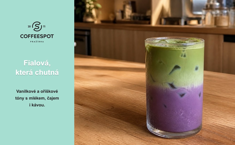 ube-fialova-revoluce-v-salku-01