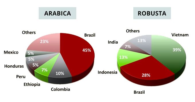 arabica-robusta-rozdil