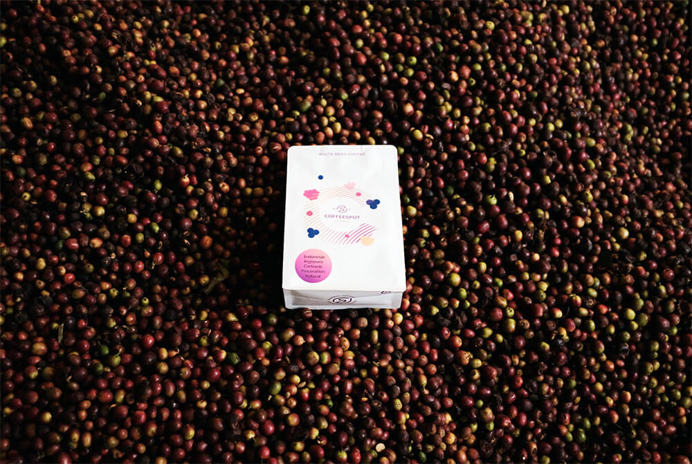 coffeespot-lot