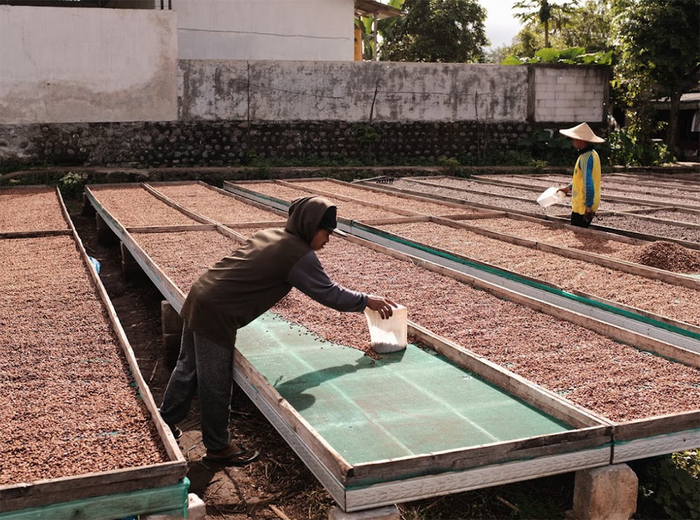 sumatra