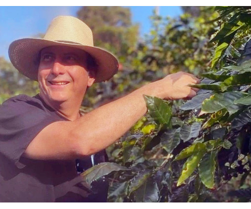 honduras-kava