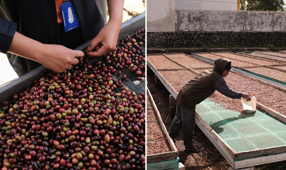 michal-machala-indonesie3