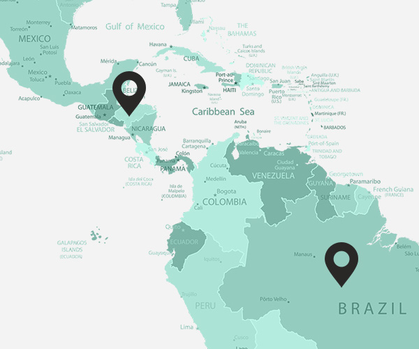 brazilie-honduras_1