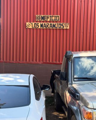 Los Naranchos, skvělé microloty, s Cup of Excellence ambicí. Naprosto delikátní kávy. diky Mauro @losnaranjoscafe...