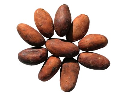 cokobanka gurecky kakaove boby ekvador 1000g cokobanka cz 768