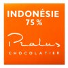 minicokoladka pralus indonesie 75