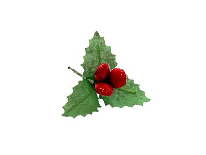 Čokoládová vánoční cesmína