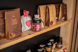 Návšteva tímu Petra Handlíře v JANKOVI