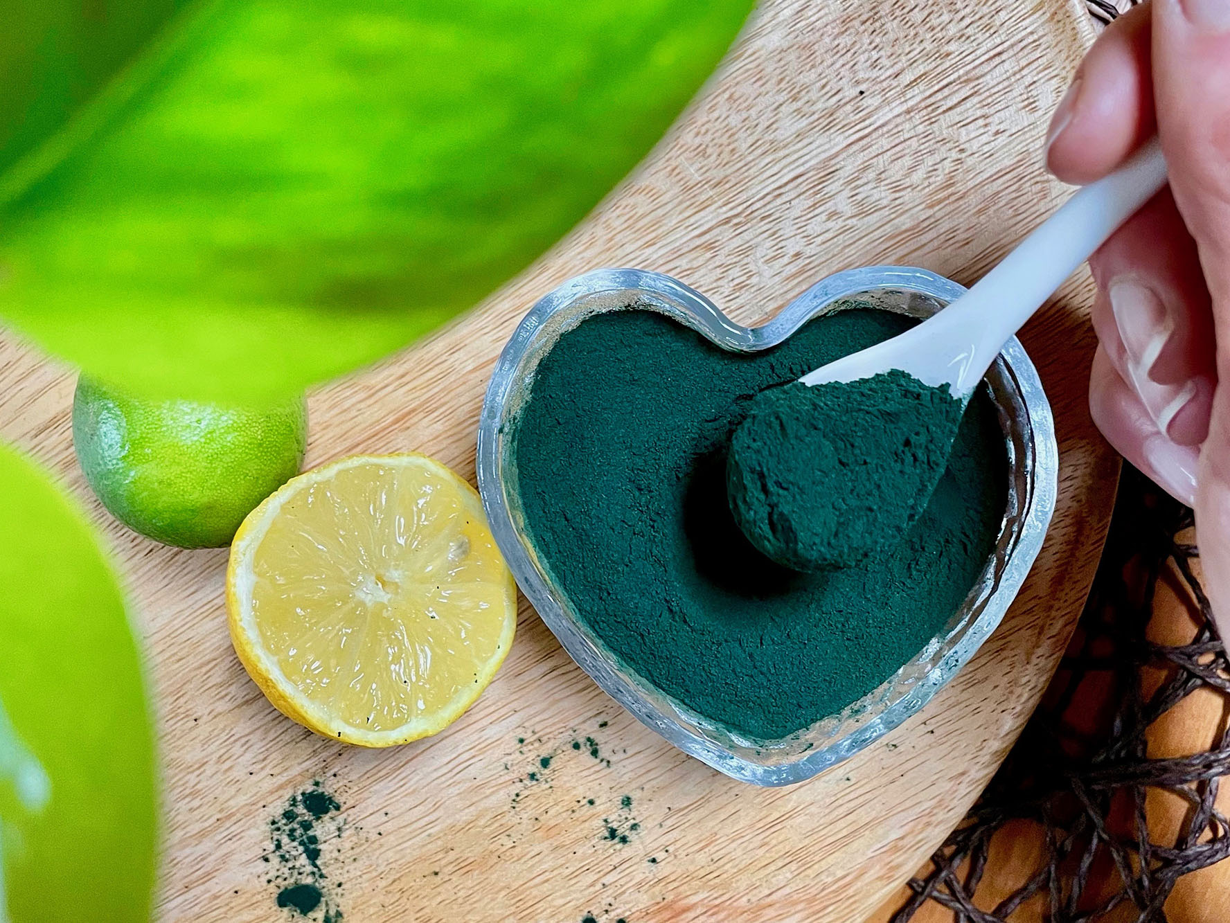 PROČ UŽÍVAT SPIRULINU?