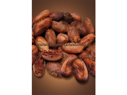 Kakaové boby nepražené, neloupané - pytel