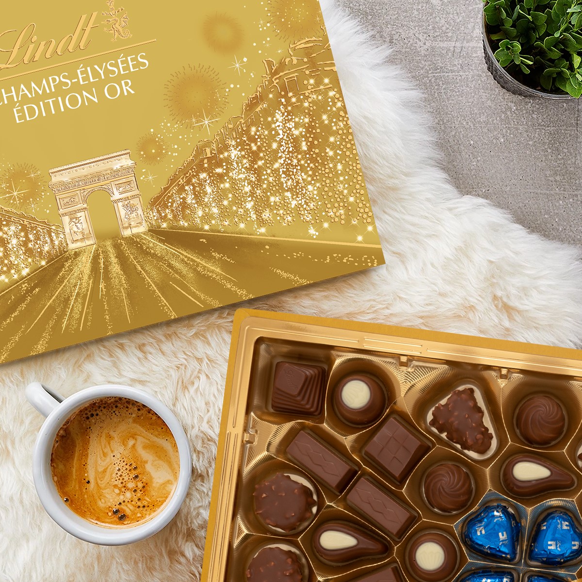 Luxusní vánoční ZLATÉ DÁRKY