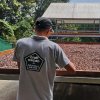 Craft+cacao+Standar+Original+Beans