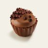 Pralinka Cupcake čoko ježek