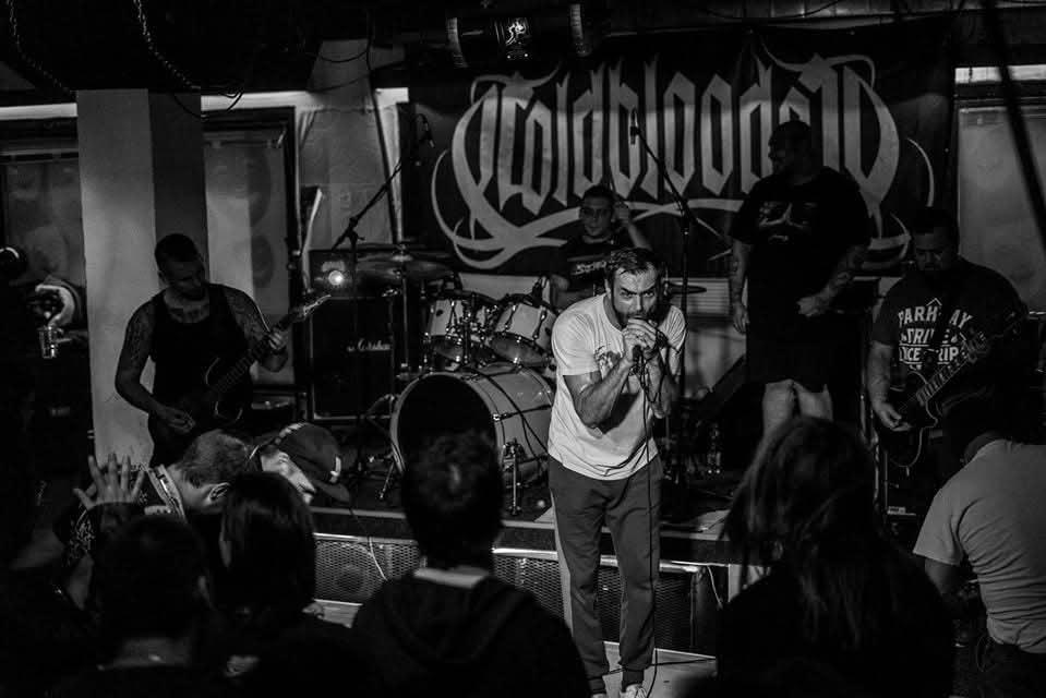 COLDBLOODED - Koncert 12