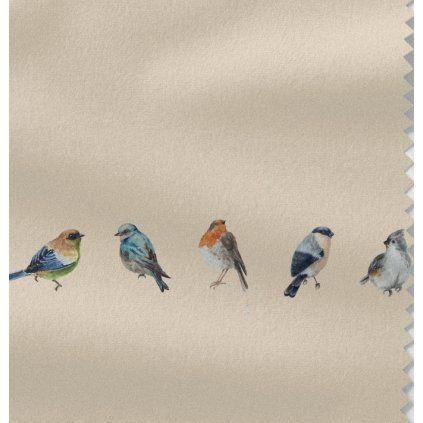 Vzor Ptáci v linii na pletená teplákovina – Colibri Print