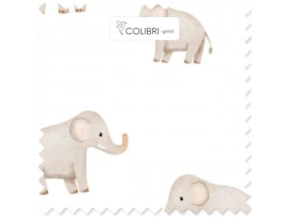 Bez názvu (800 x 1100 px) (1000 x 1000 px) 2025 11 10T103946.594