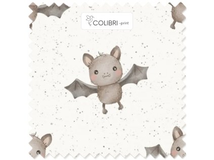 Bez názvu (800 x 1100 px) (1000 x 1000 px) 2025 11 11T132553.754