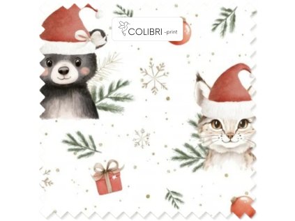 Bez názvu (800 x 1100 px) (1000 x 1000 px) 2025 11 14T170701.324