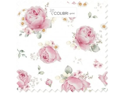 Bez názvu (800 x 1100 px) (1000 x 1000 px) 2025 11 18T083209.532