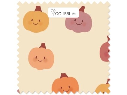 Bez názvu (800 x 1100 px) (1000 x 1000 px) 2025 11 18T100602.154