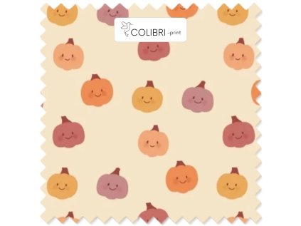 Bez názvu (800 x 1100 px) (1000 x 1000 px) 2025 11 18T101053.653