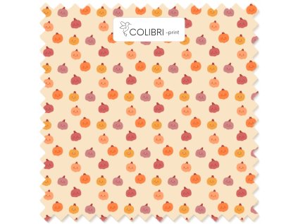 Bez názvu (800 x 1100 px) (1000 x 1000 px) 2025 11 18T101502.066