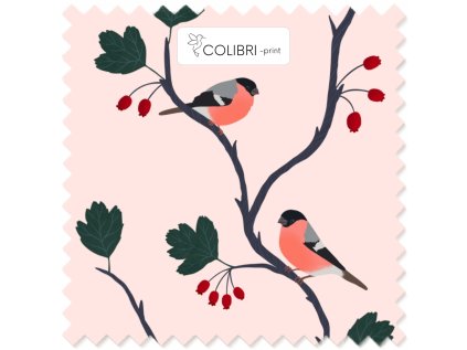 Bez názvu (800 x 1100 px) (1000 x 1000 px) 2025 11 18T113528.214