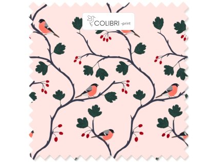 Bez názvu (800 x 1100 px) (1000 x 1000 px) 2025 11 18T114039.743