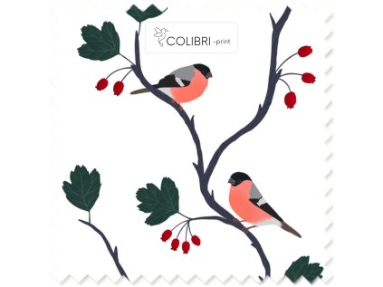 Bez názvu (800 x 1100 px) (1000 x 1000 px) 2025 11 18T114327.503