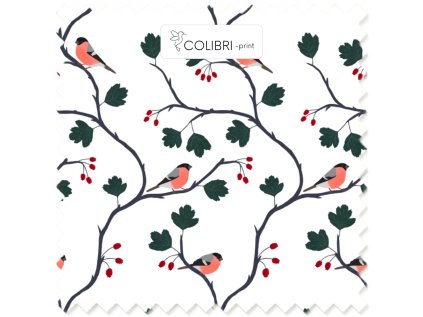 Bez názvu (800 x 1100 px) (1000 x 1000 px) 2025 11 18T114620.448