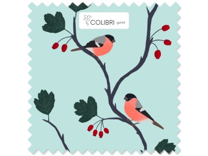 Bez názvu (800 x 1100 px) (1000 x 1000 px) 2025 11 18T114939.124