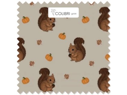 Bez názvu (800 x 1100 px) (1000 x 1000 px) 2025 11 19T124632.065