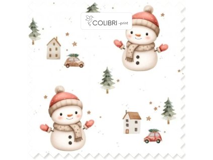 Bez názvu (800 x 1100 px) (1000 x 1000 px) 2025 11 22T121629.921