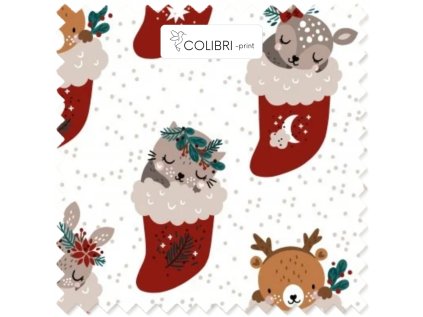 Bez názvu (800 x 1100 px) (1000 x 1000 px) 2025 11 22T130038.883