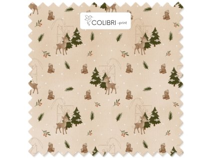 Bez názvu (800 x 1100 px) (1000 x 1000 px) 2025 11 22T135842.992