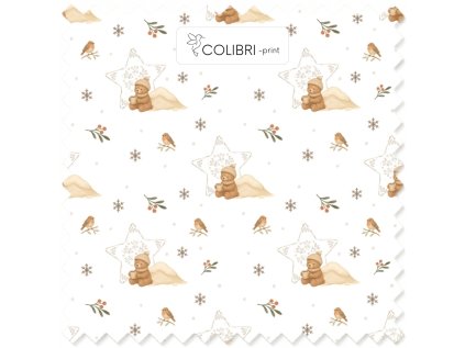 Bez názvu (800 x 1100 px) (1000 x 1000 px) 2025 11 22T140158.488