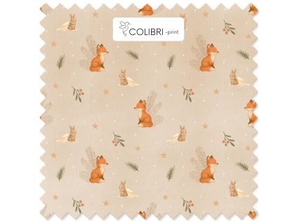 Bez názvu (800 x 1100 px) (1000 x 1000 px) 2025 11 22T140531.690