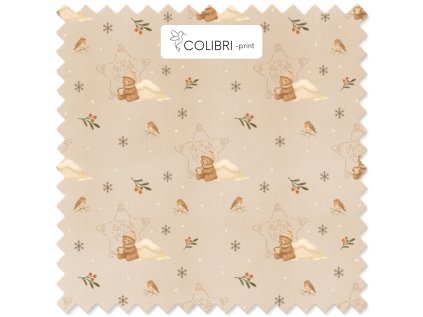 Bez názvu (800 x 1100 px) (1000 x 1000 px) 2025 11 22T140857.858