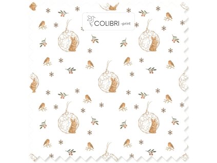 Bez názvu (800 x 1100 px) (1000 x 1000 px) 2025 11 22T141203.173