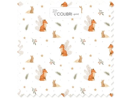 Bez názvu (800 x 1100 px) (1000 x 1000 px) 2025 11 22T141545.401